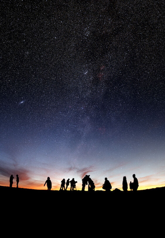 The Search for Life in Space