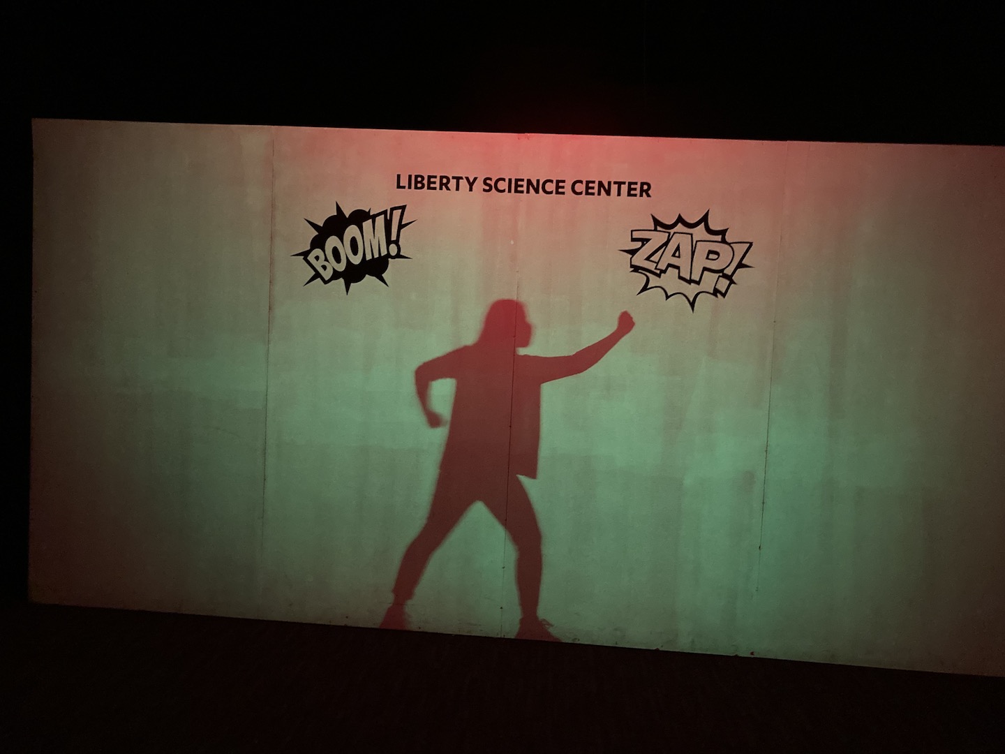 Making superhero poses at the Shadow Wall