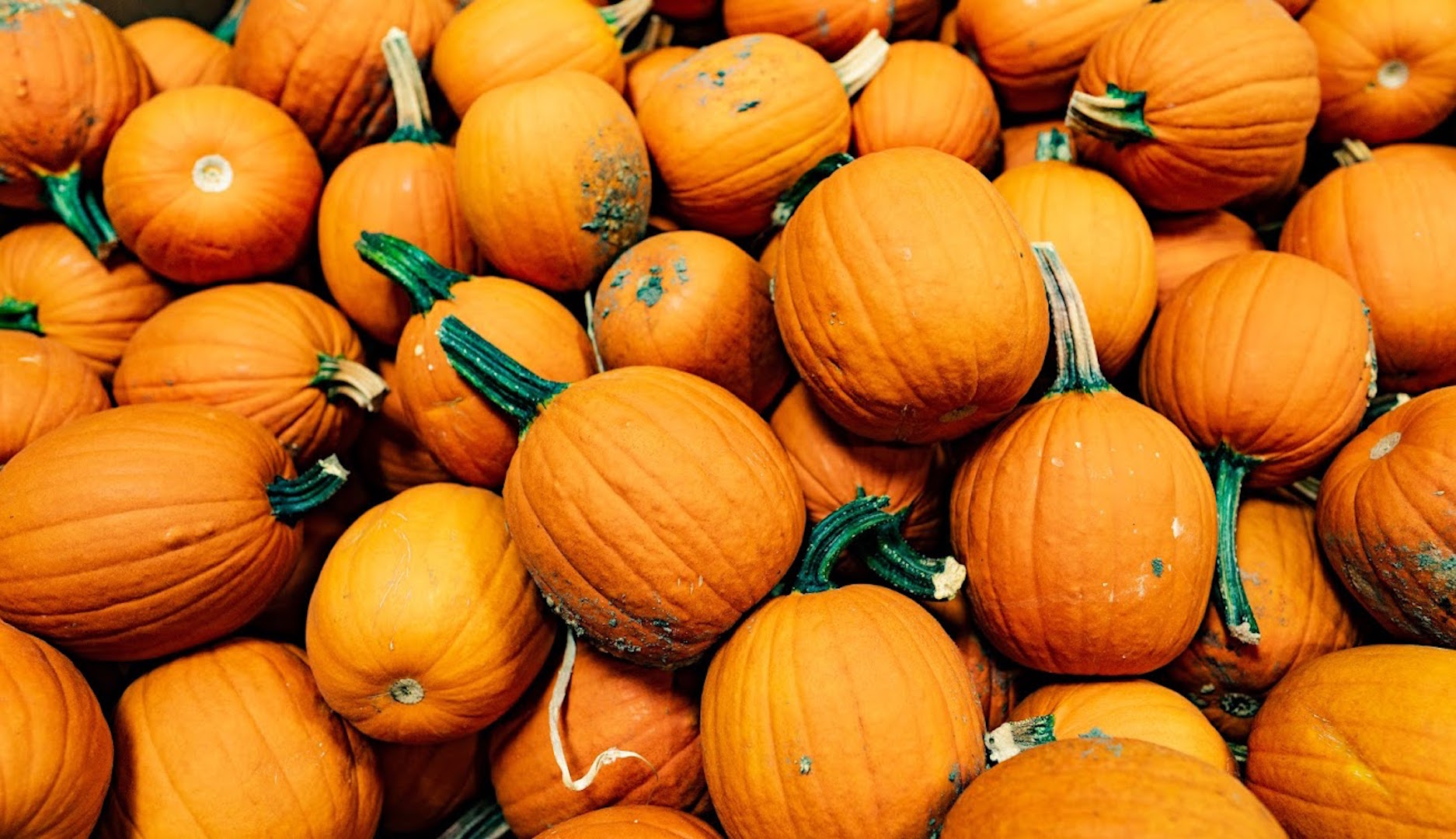 Pumpkins