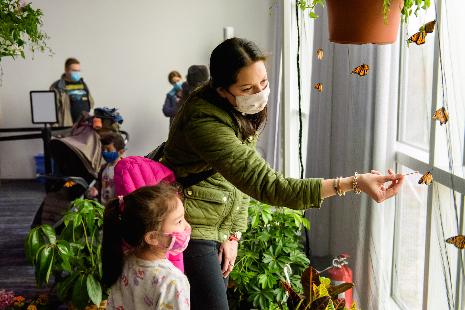 Guests in the Butterfly House