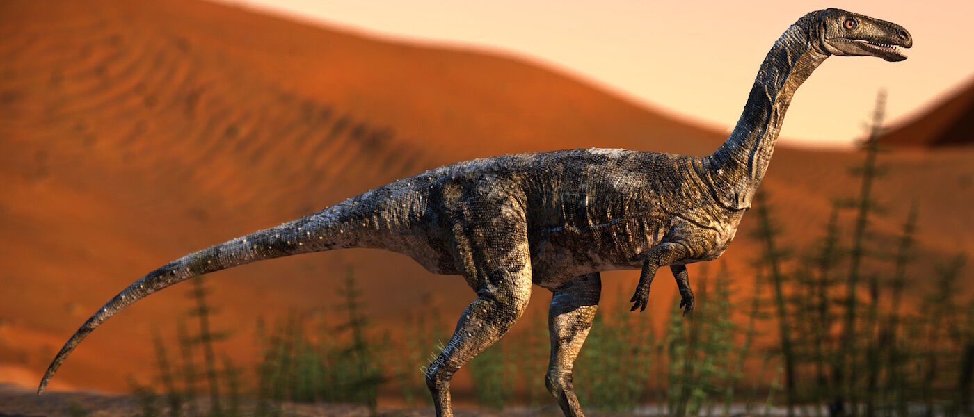 Artist rendering of Vespersaurus paranaensis