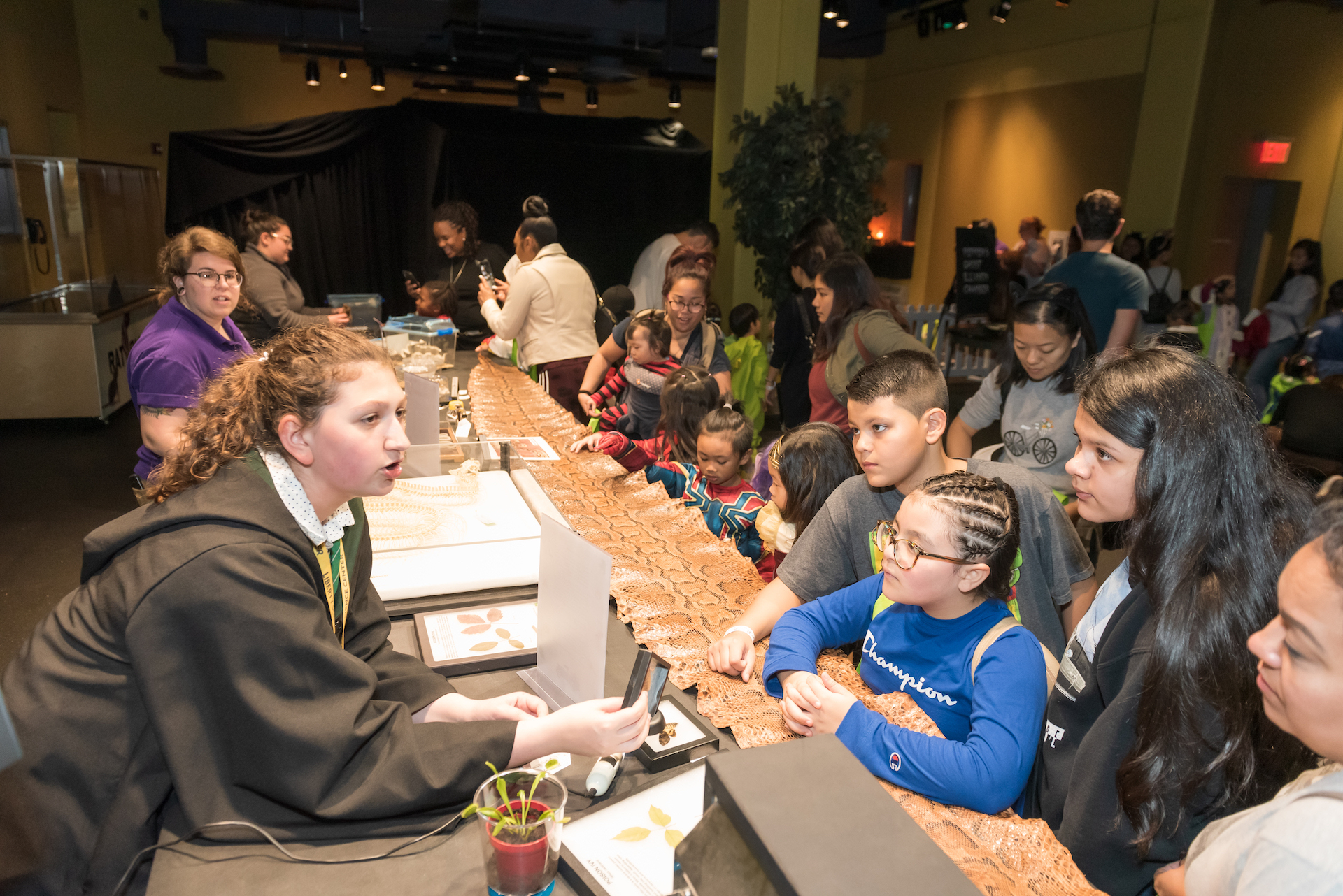 Guests touching snake skin