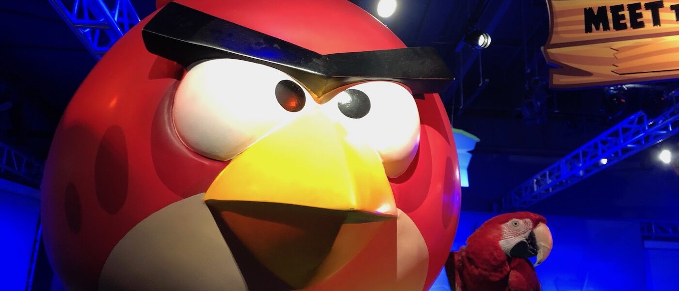 Mickey the green-winged macaw poses with giant Angry Bird