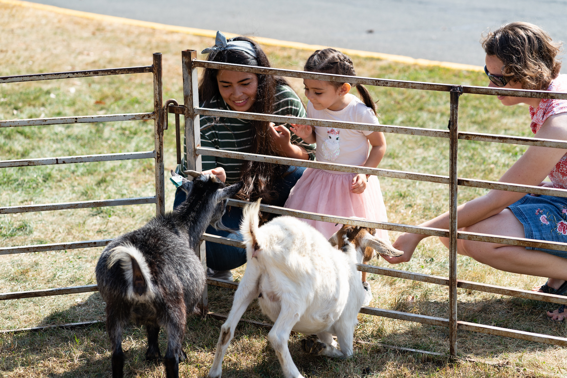 Family meeting farm animals at petting zoo