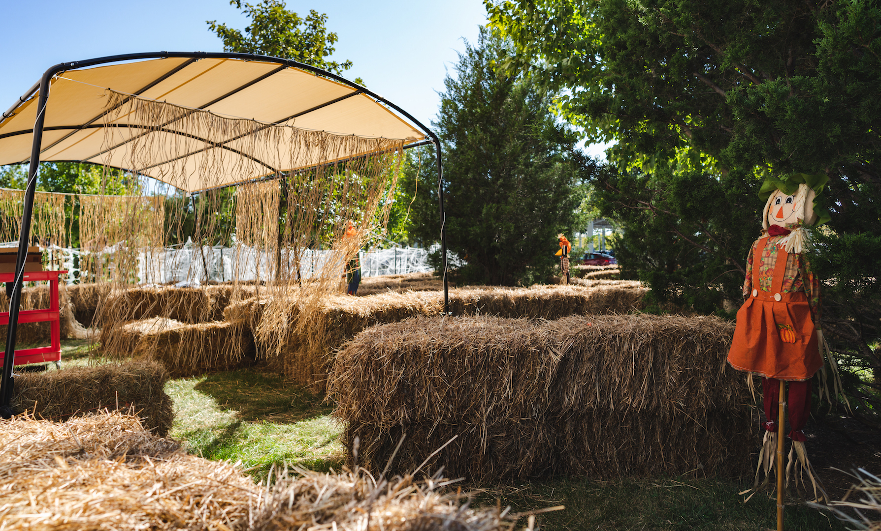 Scarecrow hay maze