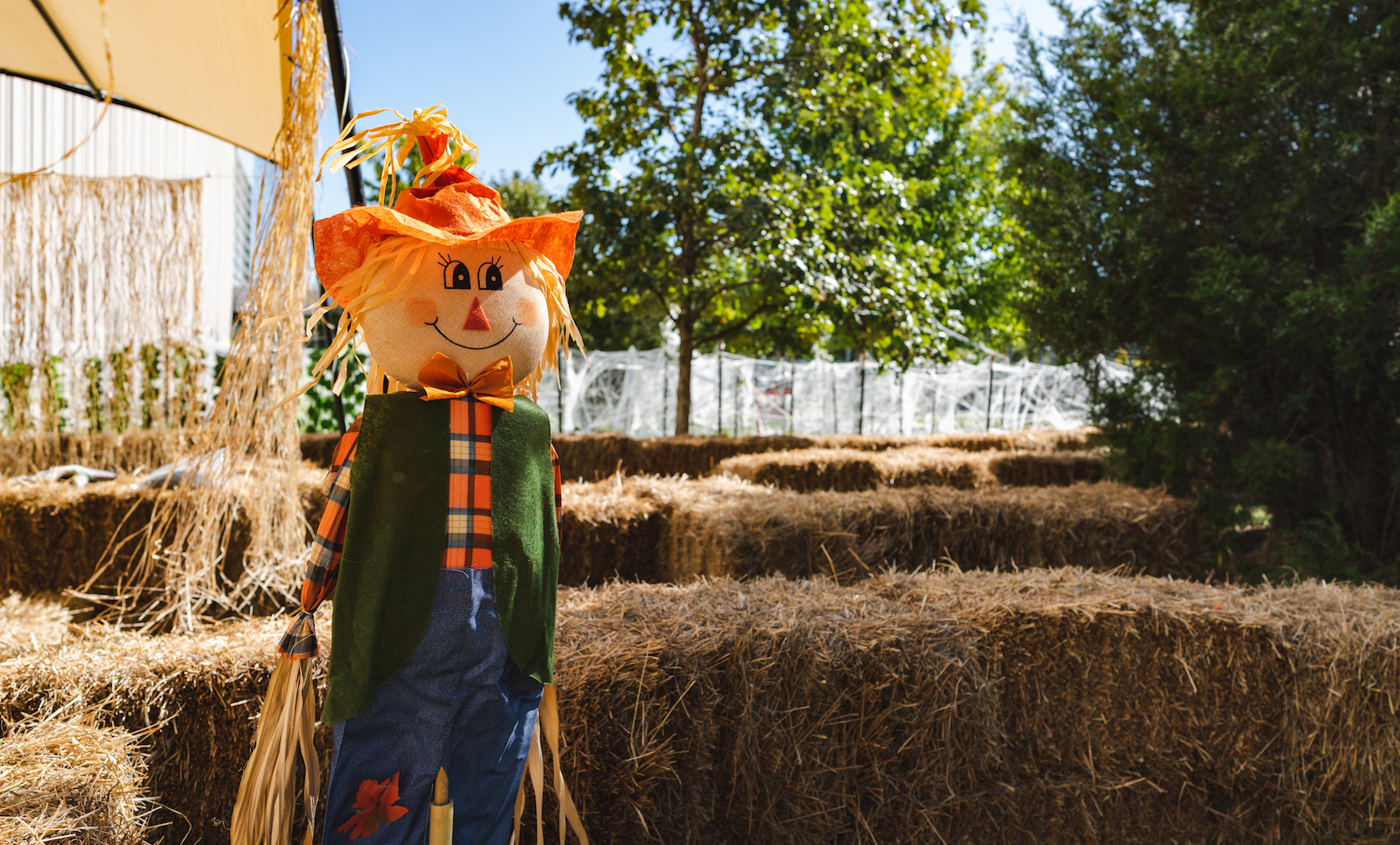 Scarecrow hay maze