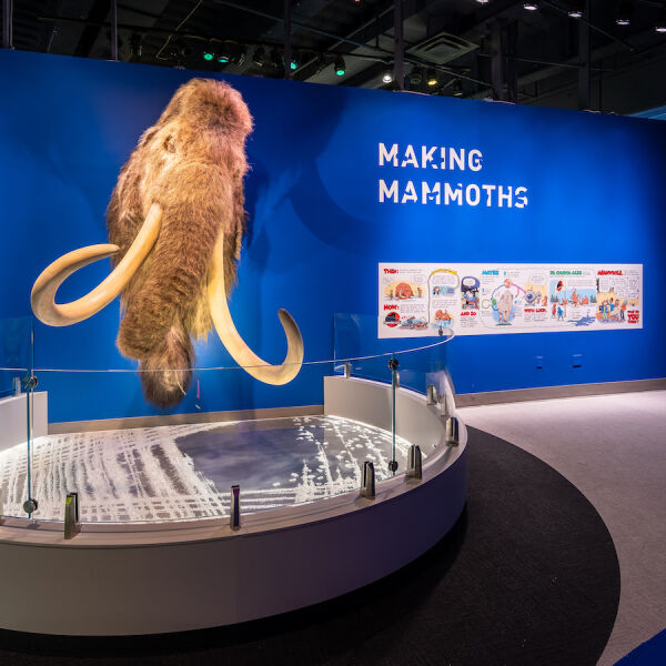 making mammoths 900x900.jpg