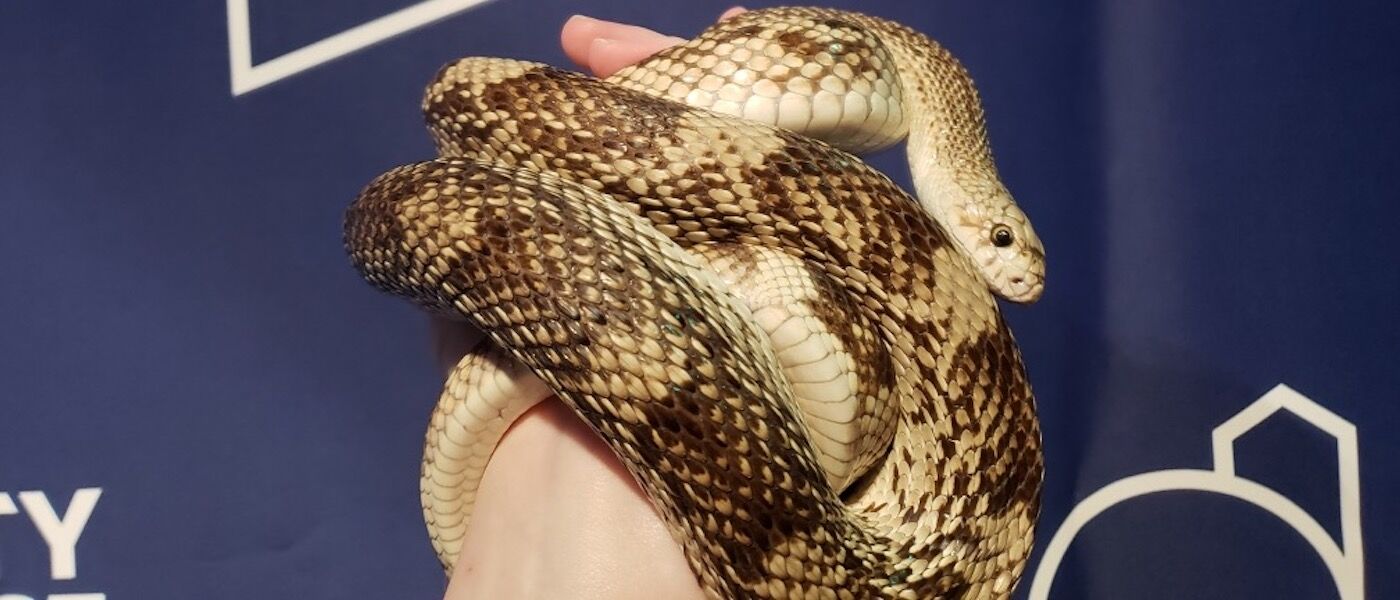 Snake at Liberty Science Center